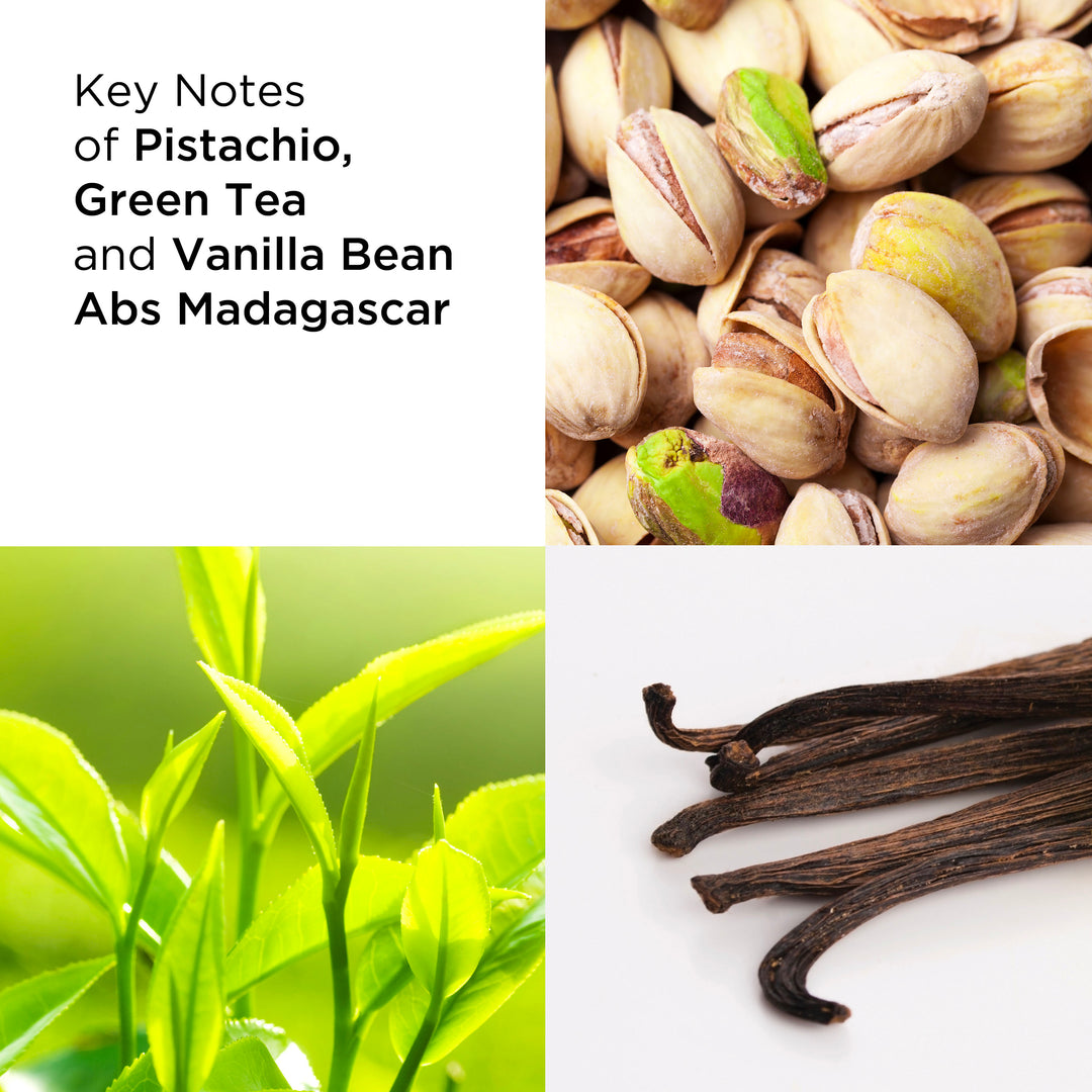 Elizabeth Arden UK Green Tea Pistachio Crunch Eau de Toilette Fragrance - fragrance notes